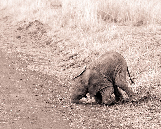 20130919_Kenya_0001