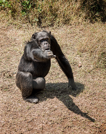 20130907_Kenya_0008