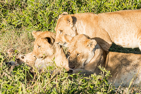 20130913_Kenya_0001-5