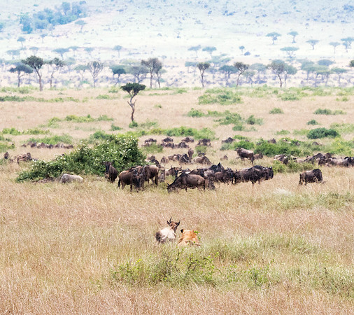 20130919_Kenya_0026