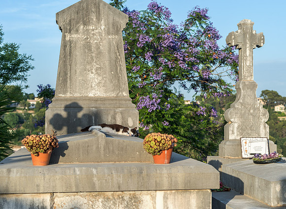 20140623_France_0063
