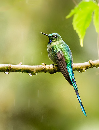 20150112_Ecuador_0002
