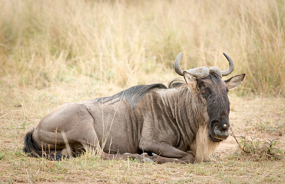 20130918_Kenya_0006