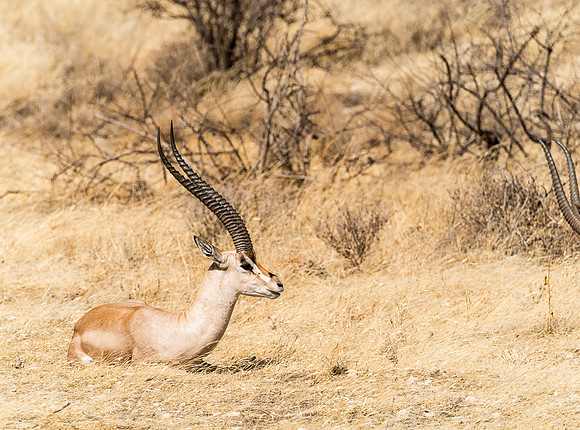 20130908_Kenya_0001-2