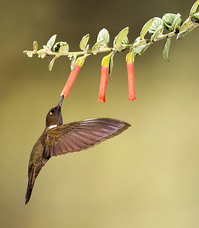 20150106_Ecuador_0001