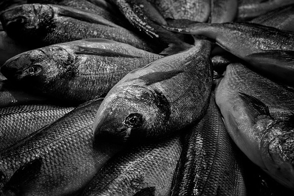 20150517_Ecuador_0033