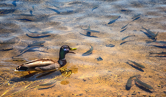 20150518_Ecuador_0008