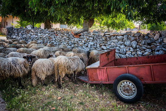 20150519_Ecuador_0018
