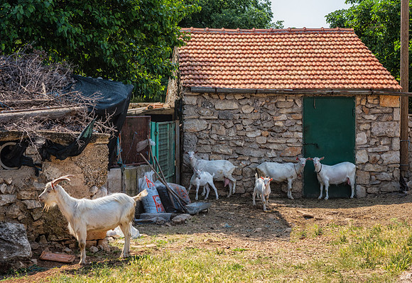 20150519_Ecuador_0019