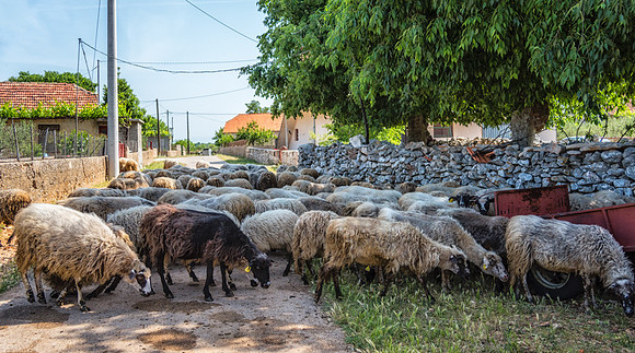 20150519_Ecuador_0020