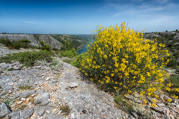 20150519_Ecuador_0031