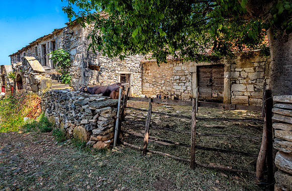 20150519_Portfolio Photos_0108