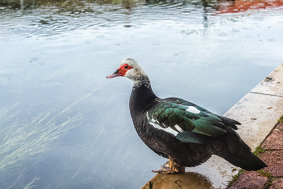20150521_Ecuador_0004