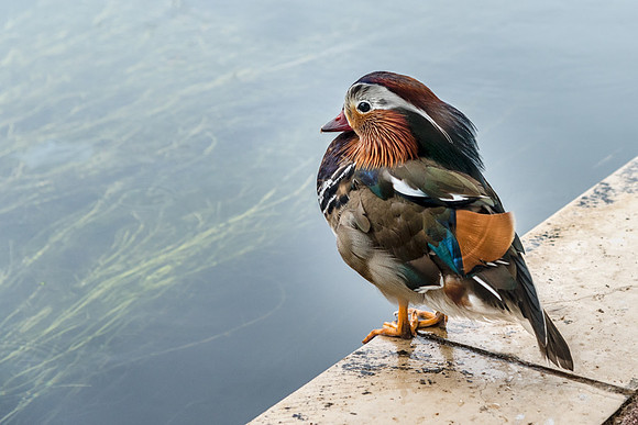 20150521_Ecuador_0005