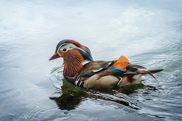 20150521_Ecuador_0006