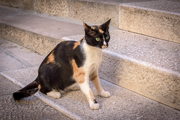 20150524_Ecuador_0026