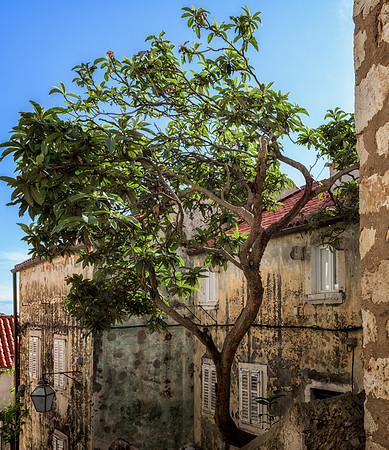 20150524_Ecuador_0033