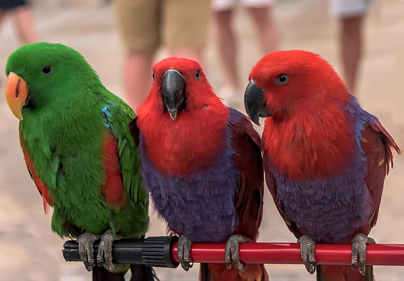 20150524_Ecuador_0057