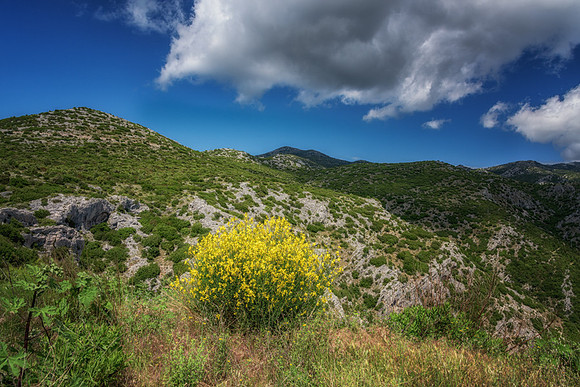 20150526_Ecuador_0009