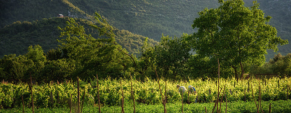 20150526_Ecuador_0028
