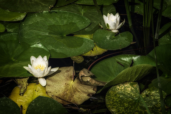 20150528_Ecuador_0002