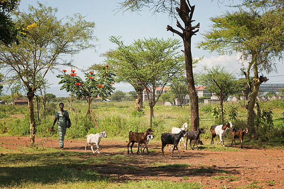 20130912_Kenya_0014
