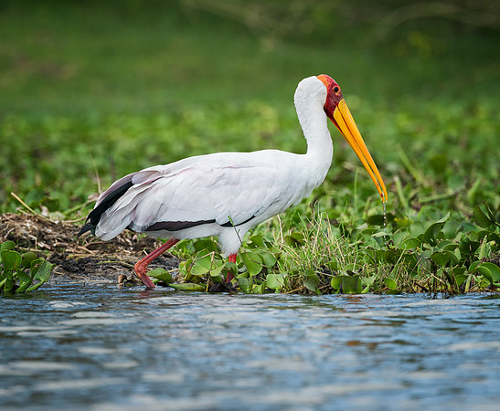 20130912_Kenya_0001-4