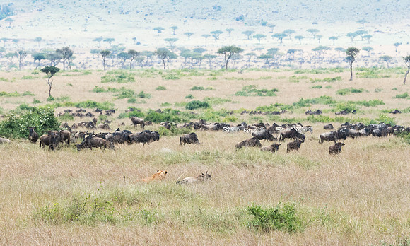 20130919_Kenya_0030