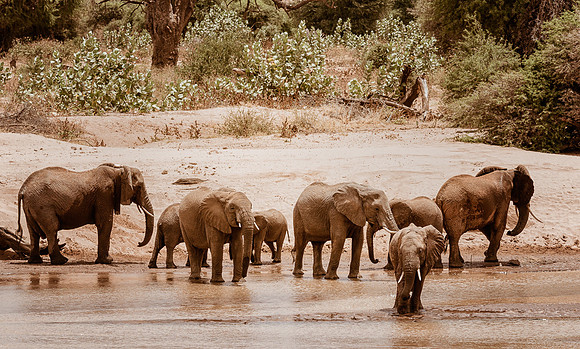 20130909_Kenya_0023