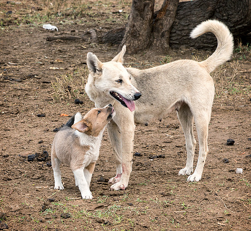 20130917_Kenya_0049