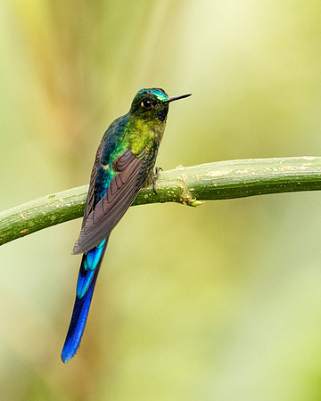 20150106_Ecuador_0012