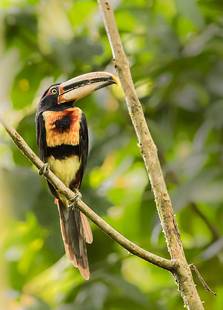 20150107_Ecuador_0001
