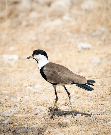 20130909_Kenya_0007-2