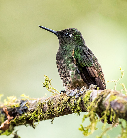20150105_Ecuador_0001