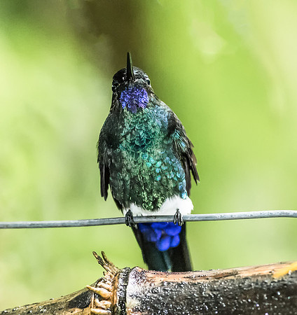 20150110_Ecuador_0013