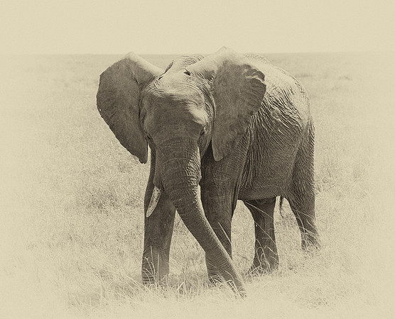20130915_Kenya_0002