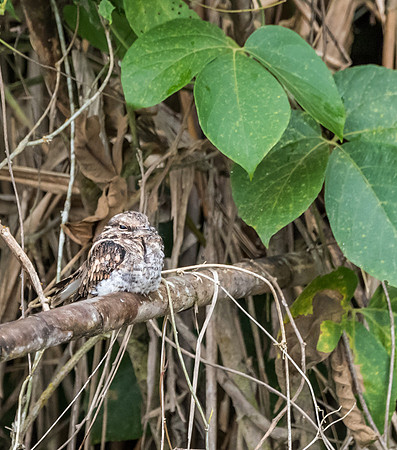 20150117_Ecuador_0016