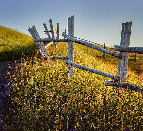 20150725_Newfoundland_0015