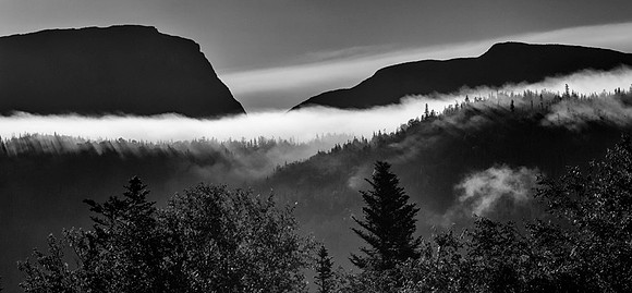 20150726_Newfoundland_0006