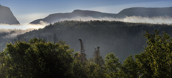 20150726_Newfoundland_0008