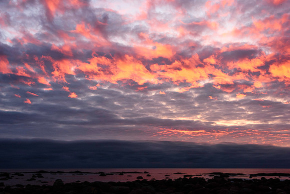 20150726_Newfoundland_0023