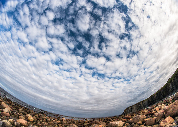 20150727_Portfolio Photos_0002