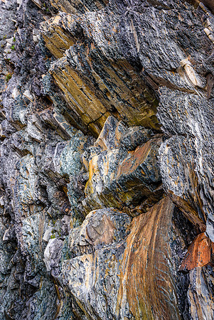 20150727_Portfolio Photos_0004