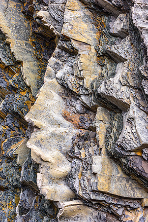 20150727_Portfolio Photos_0005