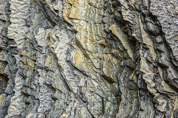 20150727_Newfoundland_0009