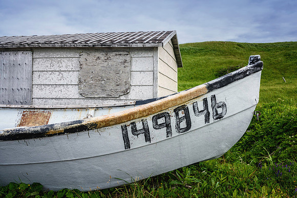 20150727_Newfoundland_0012