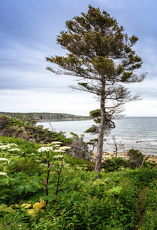 20150727_Portfolio Photos_0001