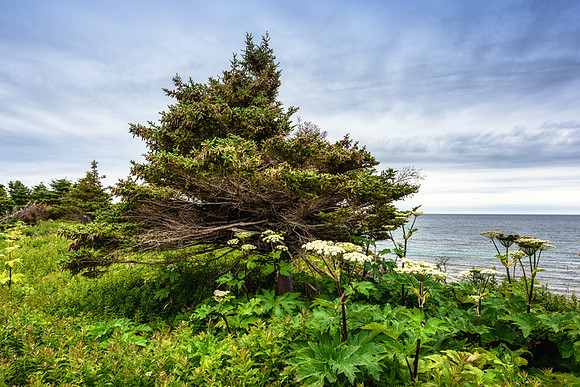 20150727_Portfolio Photos_0008