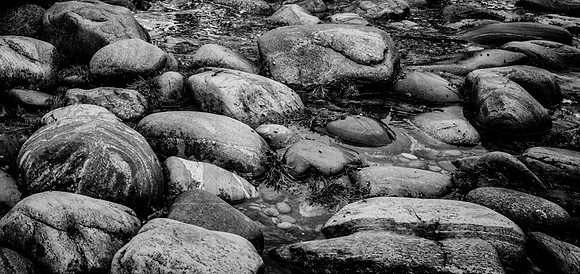 20150727_Newfoundland_0018