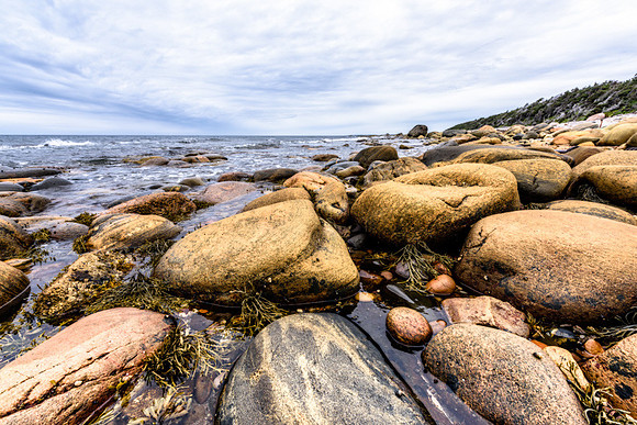 20150727_Portfolio Photos_0010